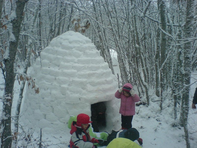 Снежный дом иглу