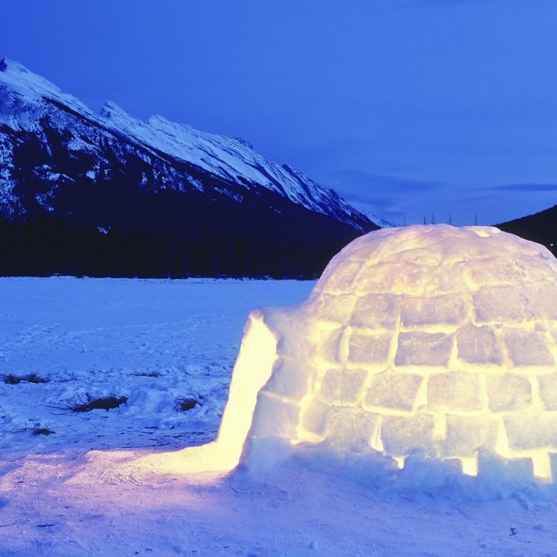 Igloo монгольская