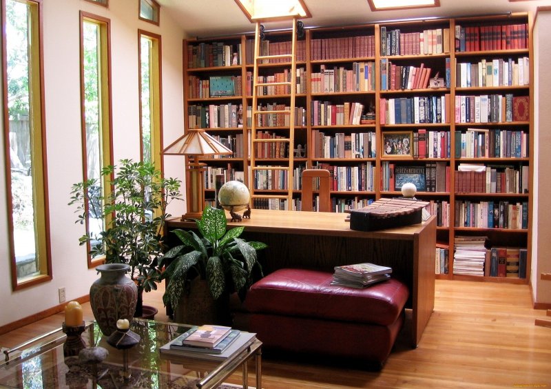 Кабинет с книжными полками