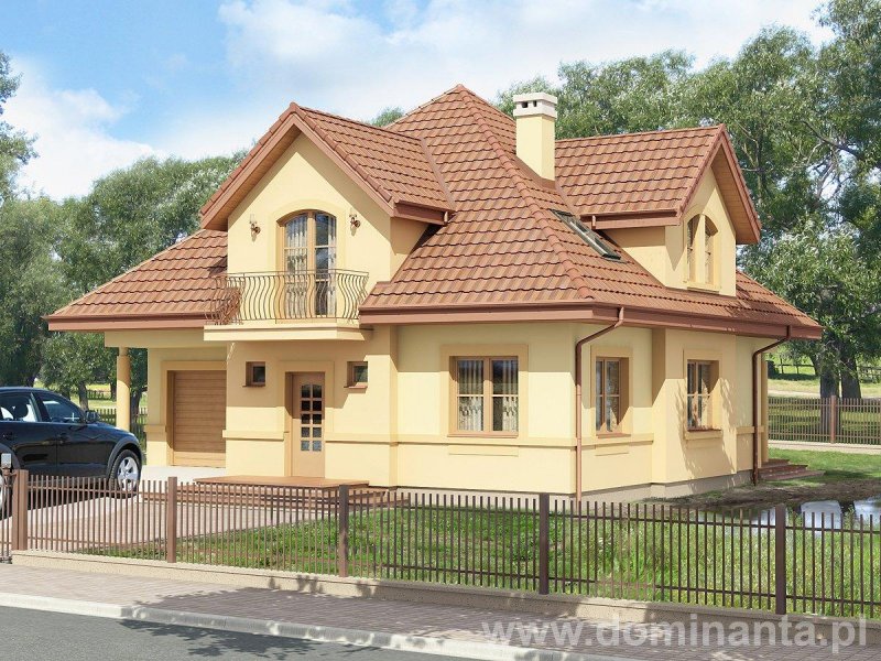 Крыши домов с кукушкой