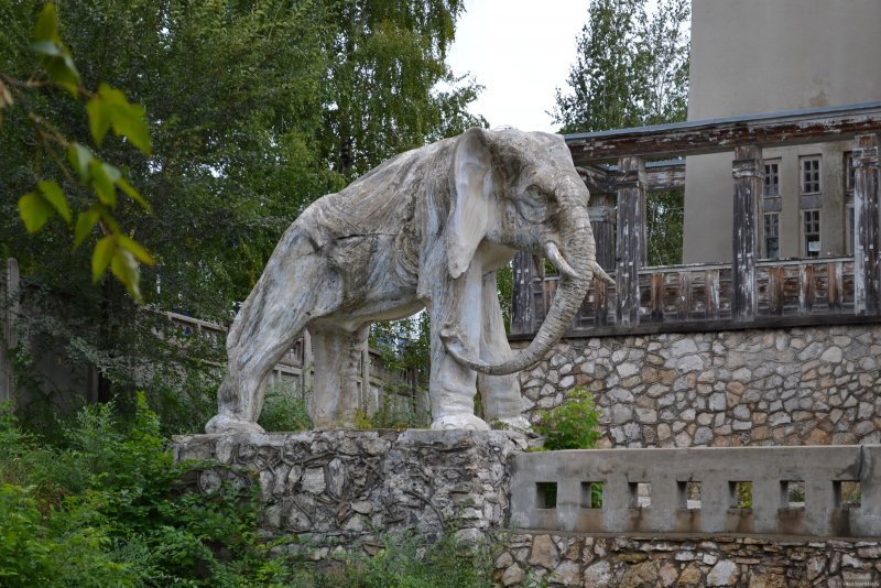 Кафе Elephant