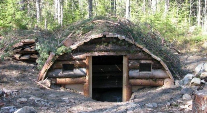 Жилище в лесу