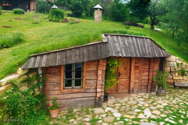 Брянский лес. Партизанская землянка