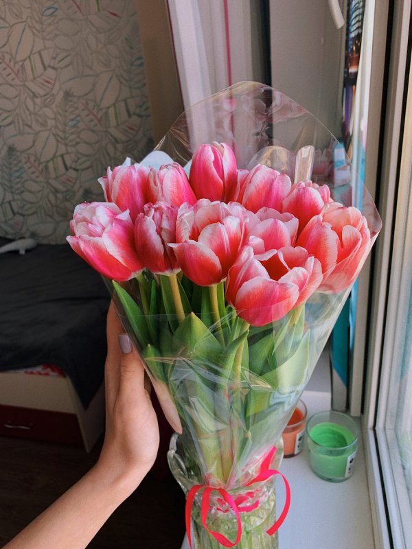 Подарили тюльпаны