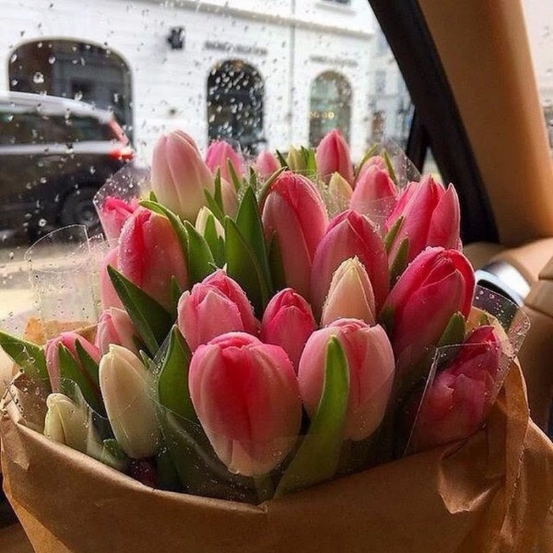Букет тюльпанов гифы