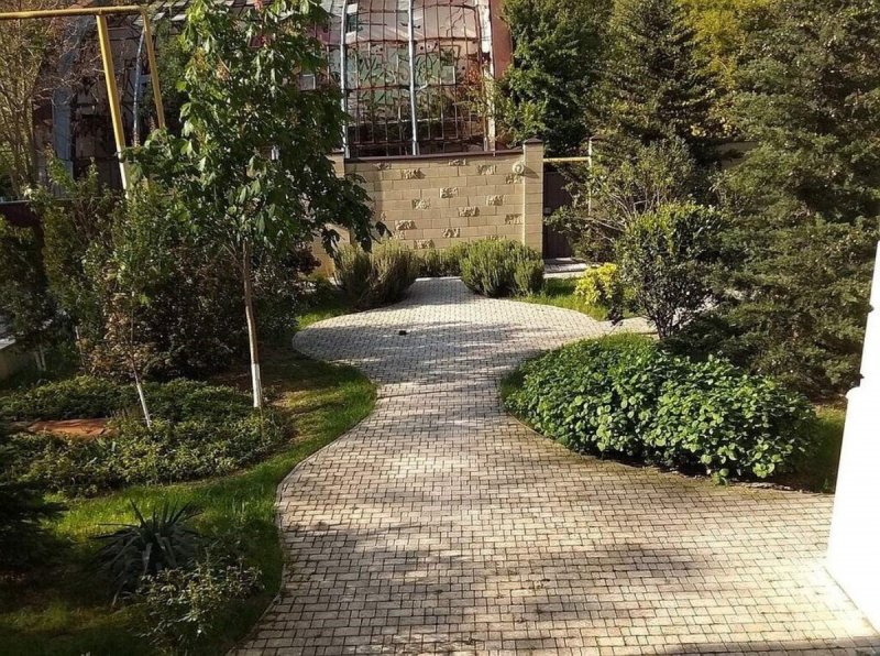 Зеленский резиденция