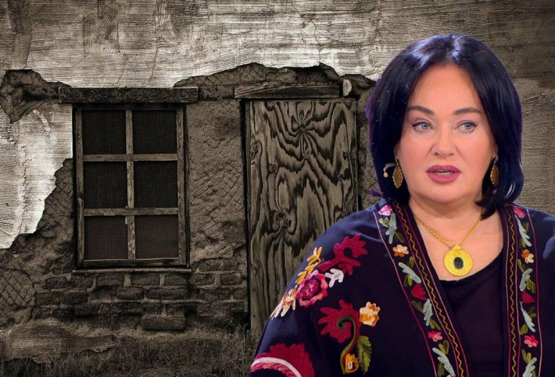 Лариса Гузеева фото 2020