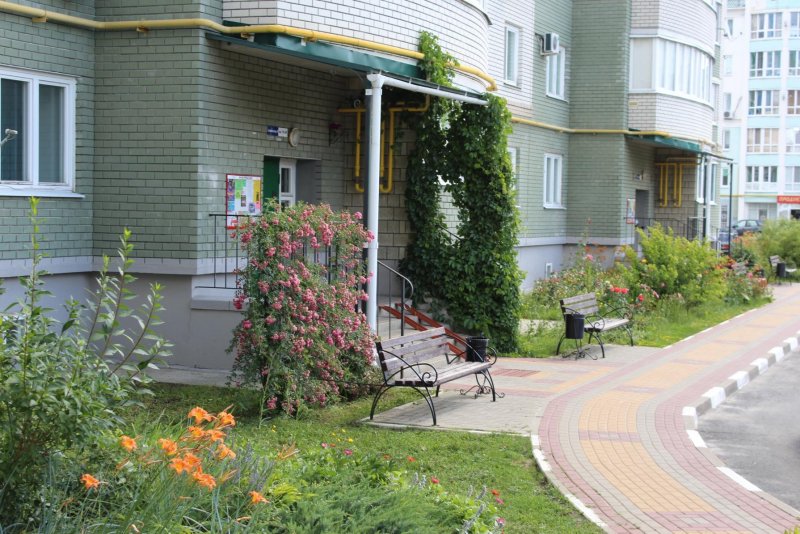 Облагородить двор многоквартирного дома