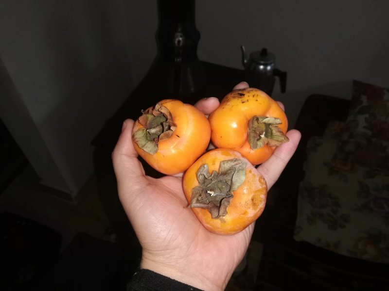 Вяжущий фрукт хурма