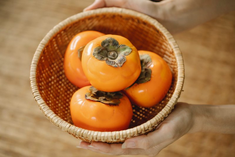 Манго в горшке из косточки
