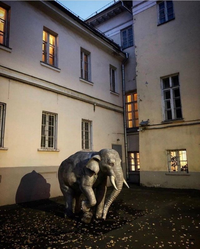Elephant House in Moscow