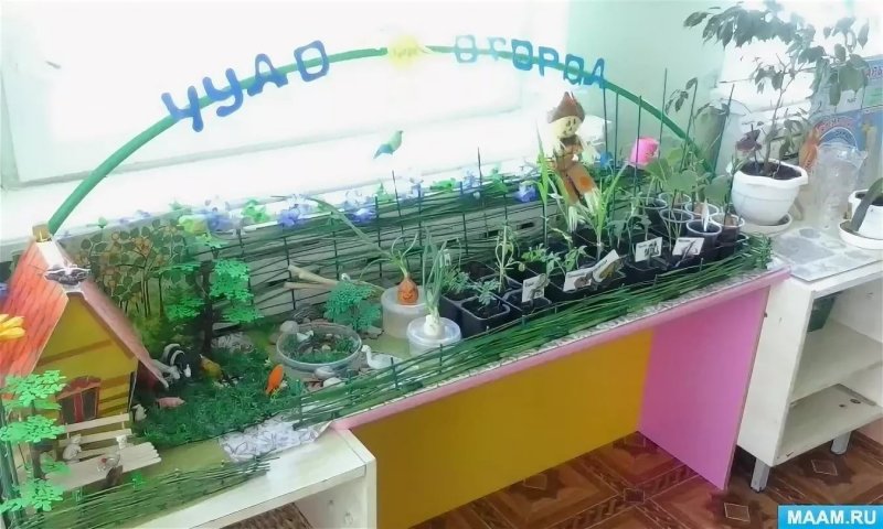 Чудо огород в детском саду