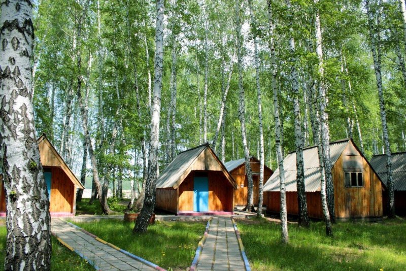 Дом в лесу Финляндия
