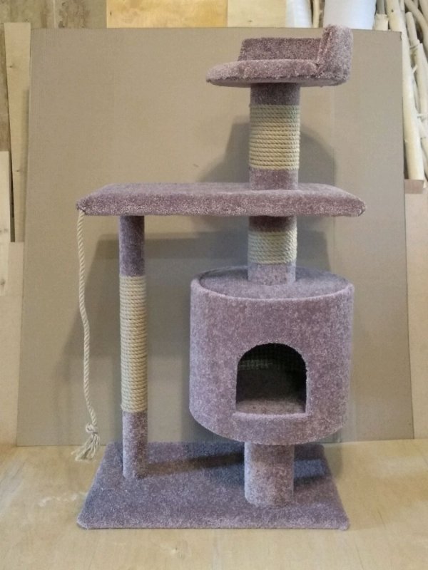 Кошкин дом кошка