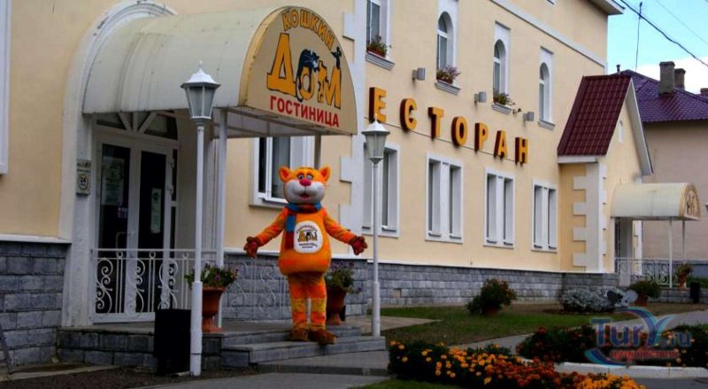 Город Мышкин Кошкин дом