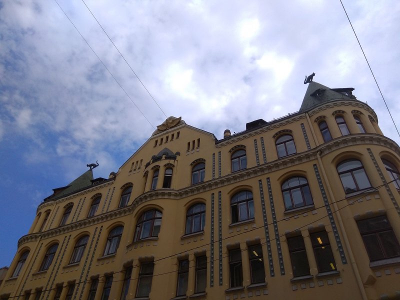 Домик для кошек в саду