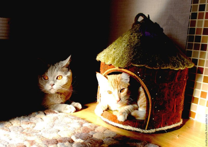 Костюмы к спектаклю Кошкин дом