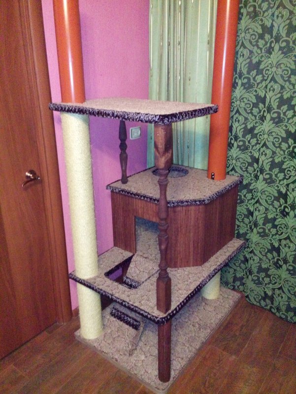 Кошкин дом 1971