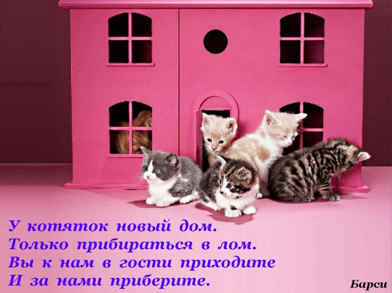 Зимний уличный домик для кота