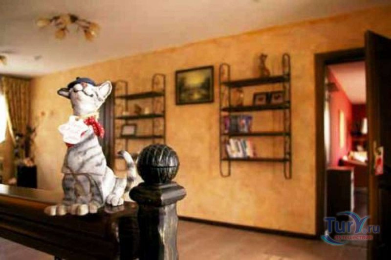 Латвия в Риге Кошкин дом