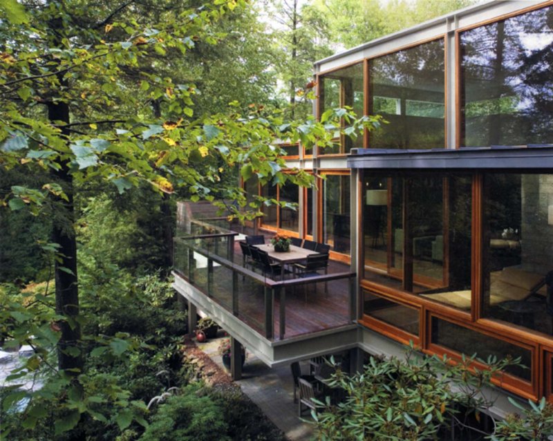 Modern House Jungle