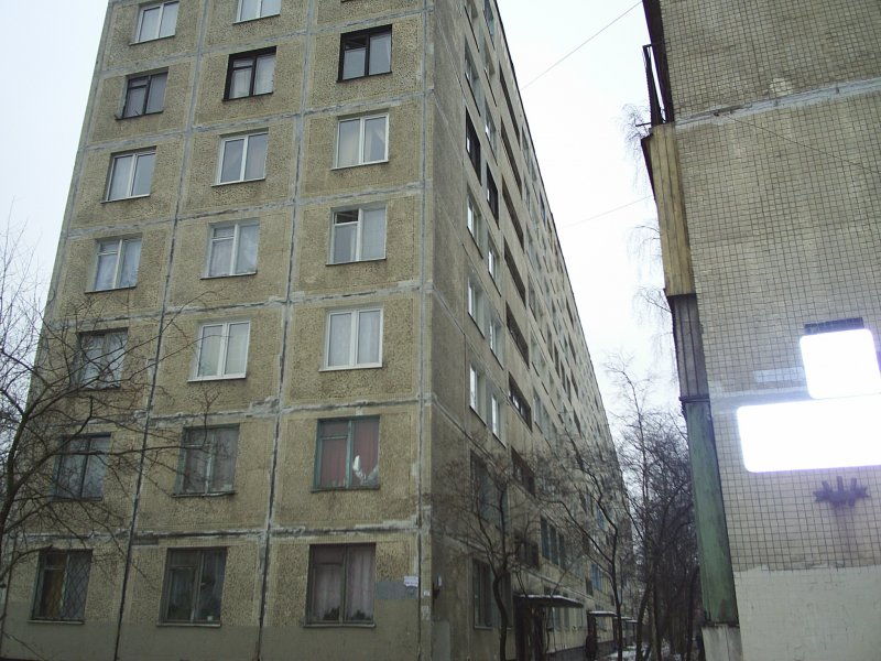 "Панельный дом" Блюхера