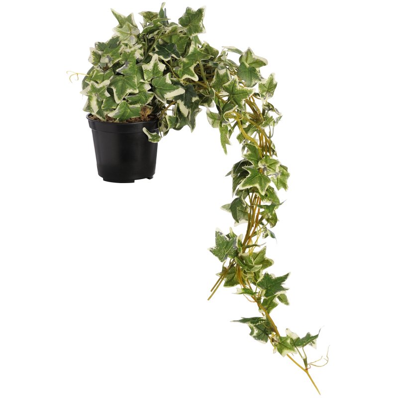 Climbing Vine Greaves