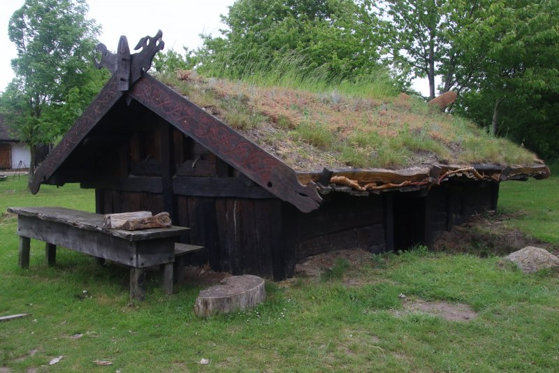Викингские избы