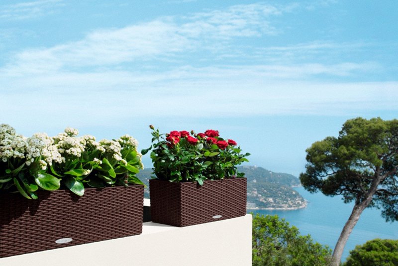 Кашпо Lechuza Balconera Cottage 50