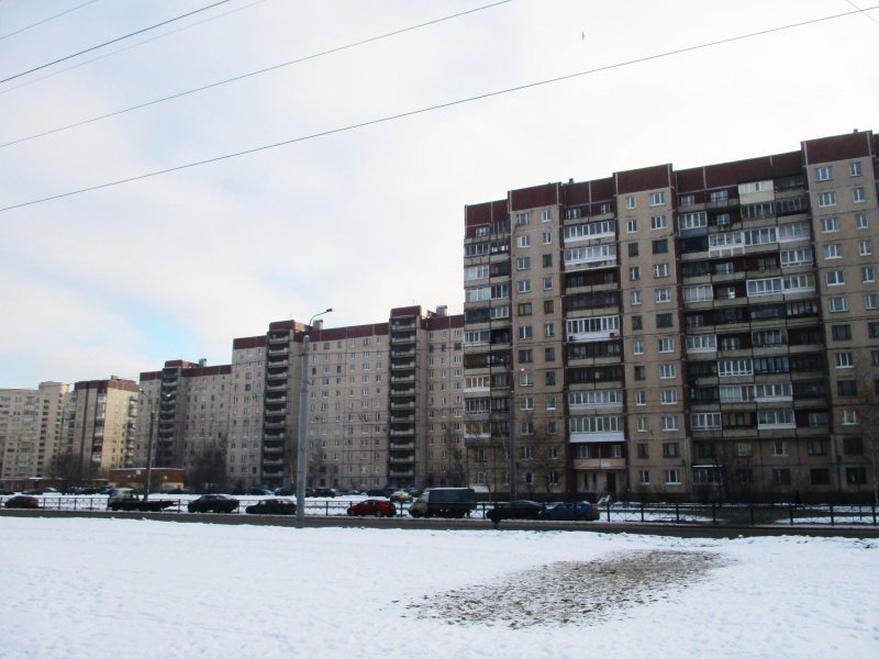 Гаккелевская 25 к 2