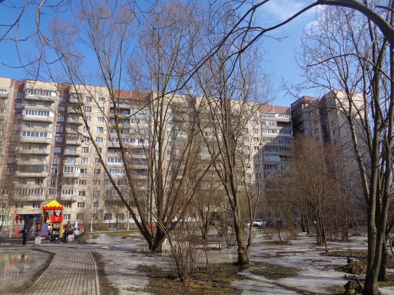 Парашютная 31 корпус 2