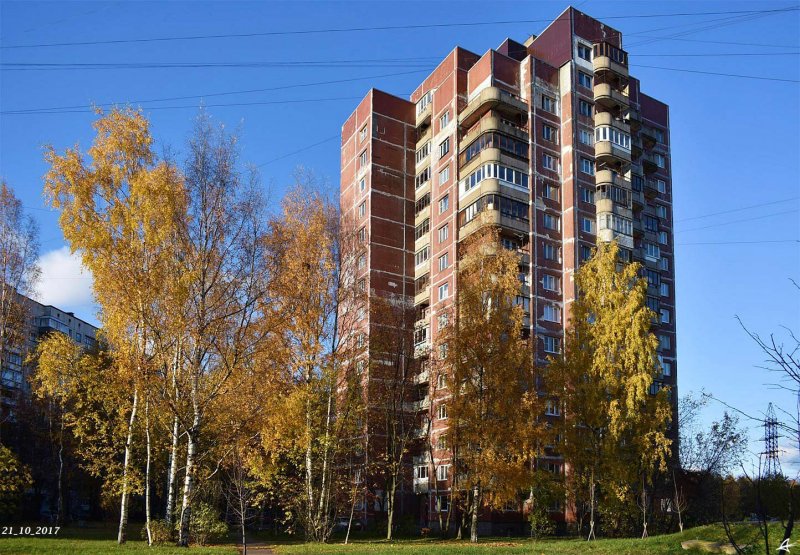 Капитанская 3 общага