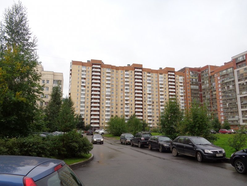 Стародеревенская улица Санкт-Петербург