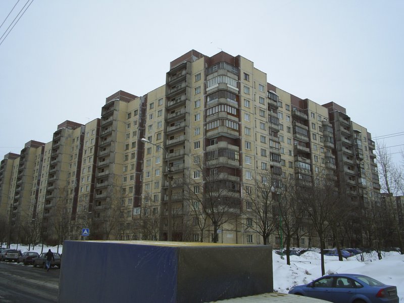Богатырский проспект 1980