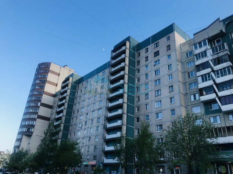 Елагинский проспект 40