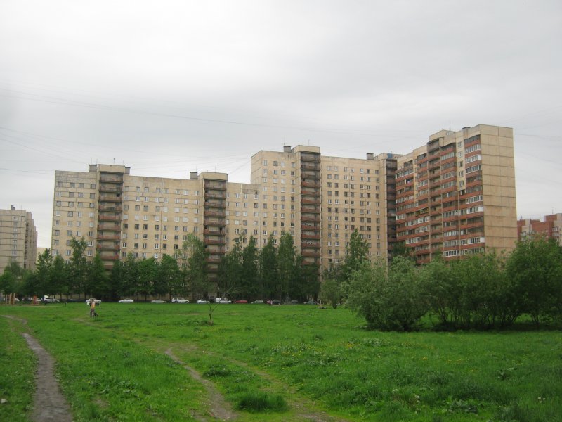 Богатырский проспект 30 корпус 2 дом