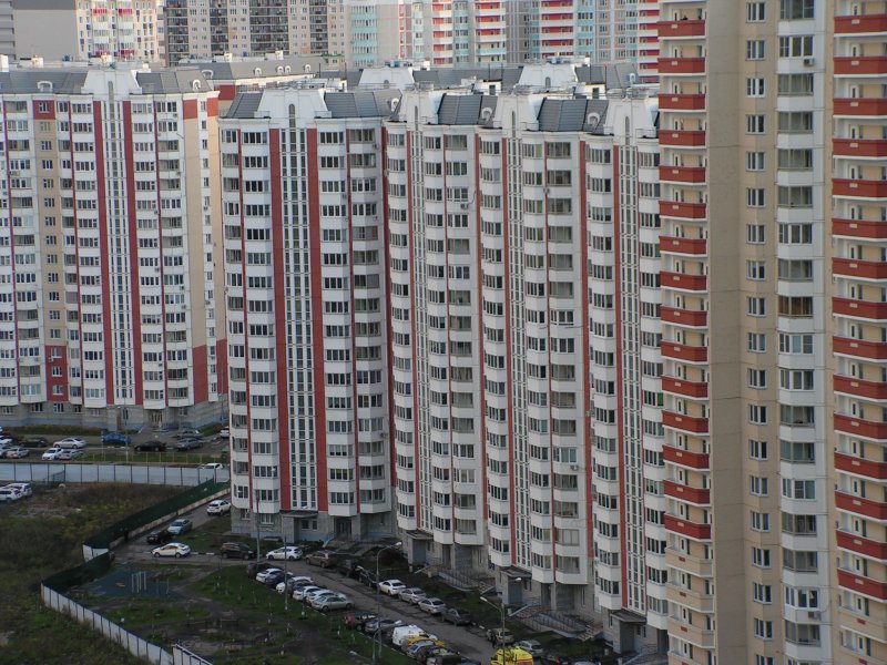 Сходненская 25 Путилково