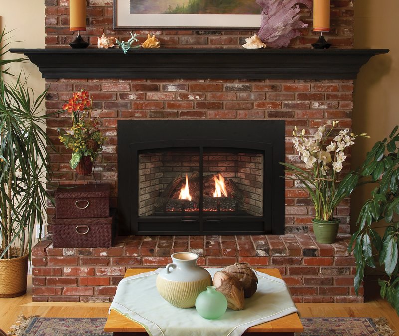Дровяная печь-камин Fireplace Phoenix