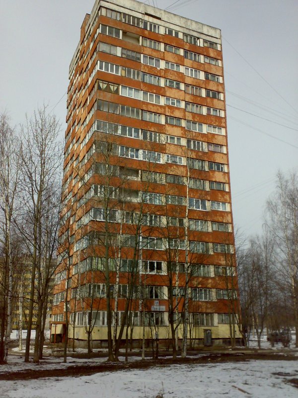 Санкт-Петербург ул Симонова 10к1