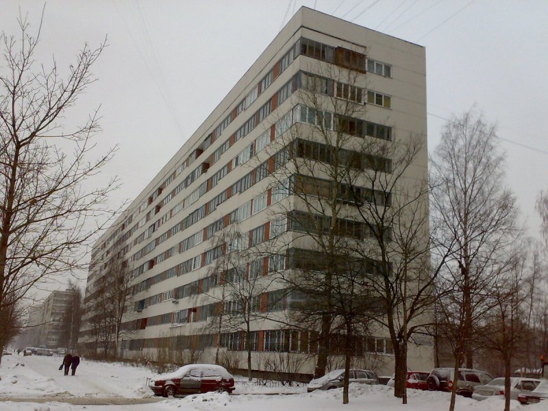 Улица Кустодиева 2