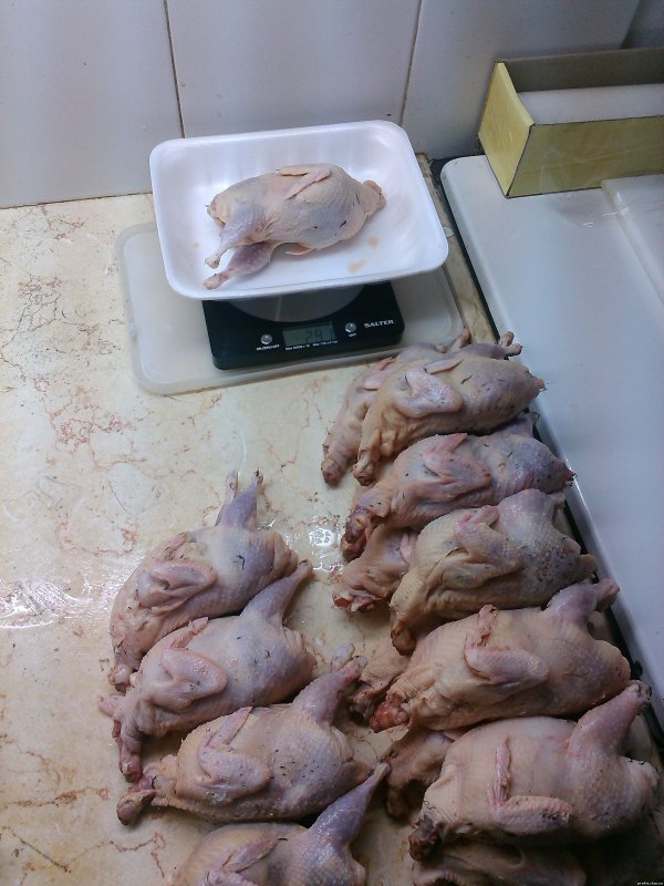 Перепелиное мясо