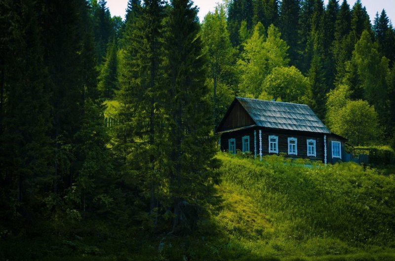 Домик в лесу