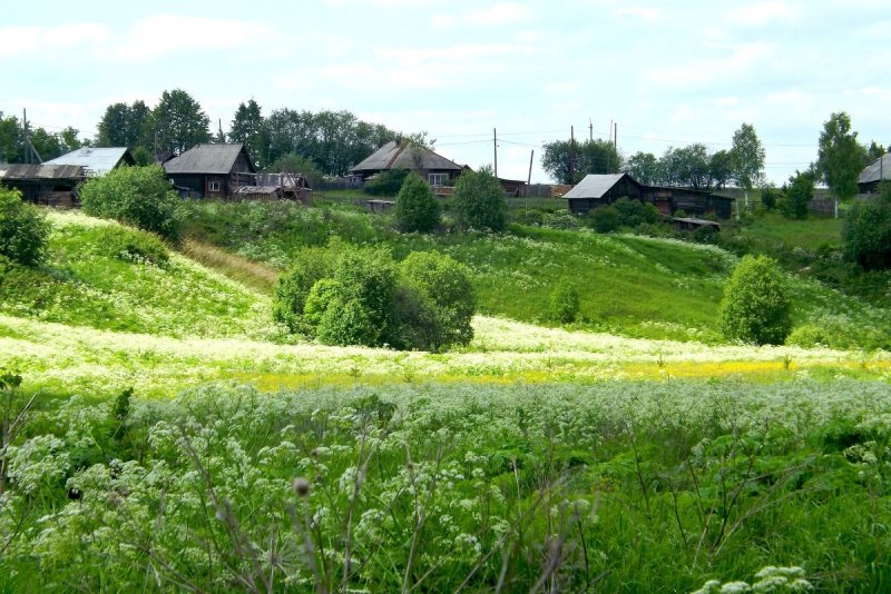 Рассвет в деревне летом