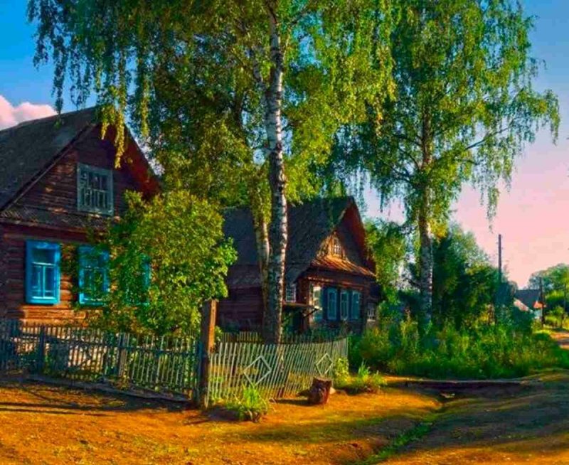 Береза у дома