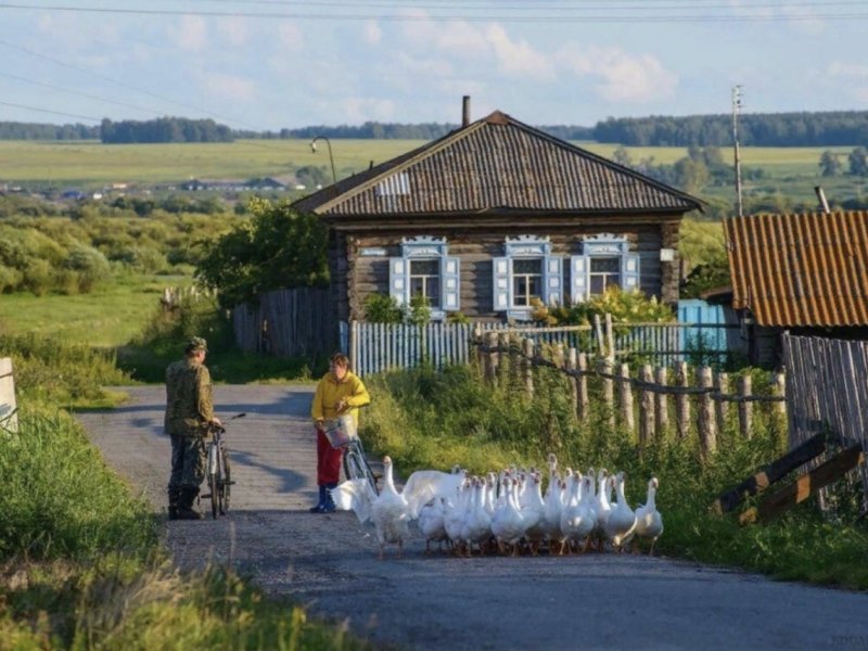 Деревенская улица летом