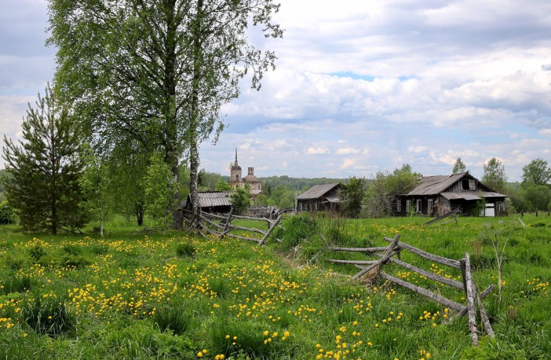 Домик в деревне