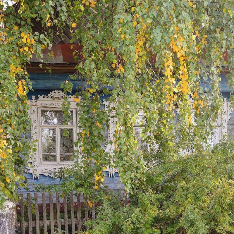 Деревенская дорога