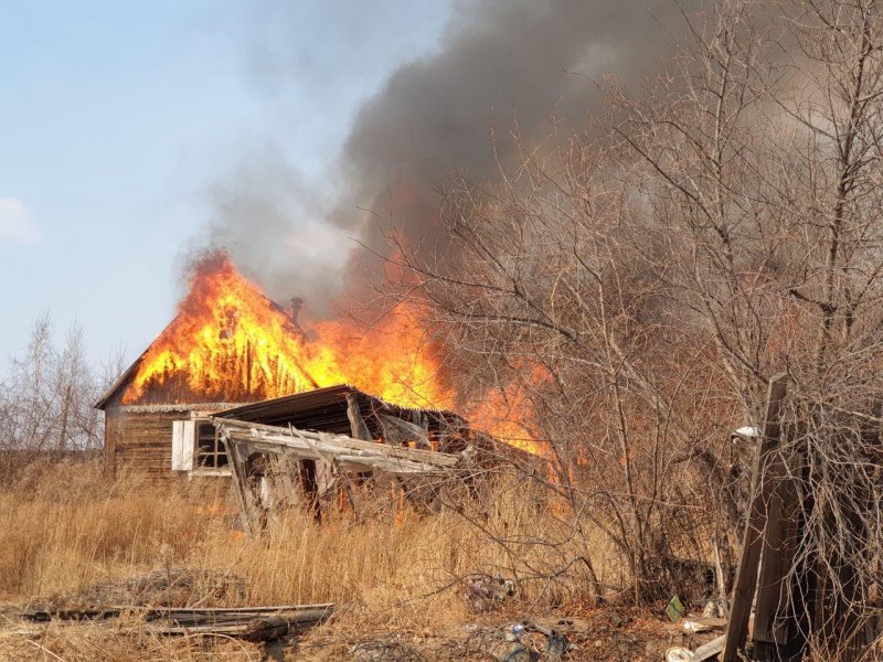 Пожары в Псковской области