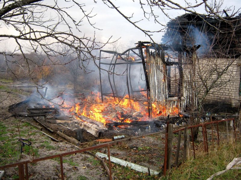 После пожара дом в лесу