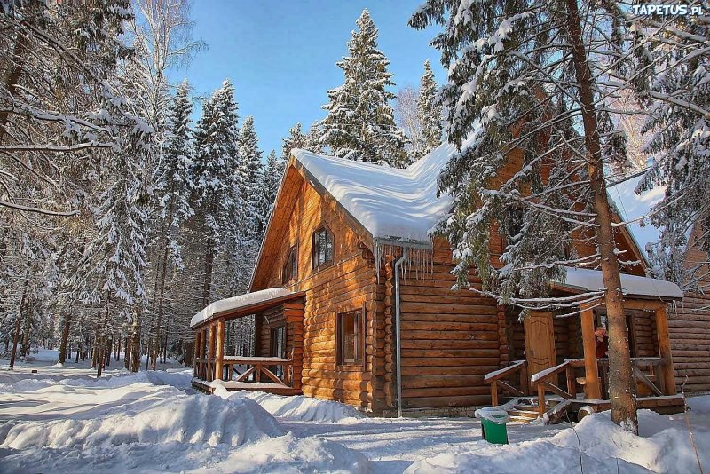 Усадьба серебряный Бор Кострома